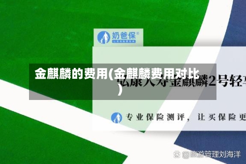 金麒麟的费用(金麒麟费用对比)