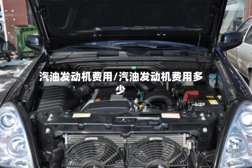 汽油发动机费用/汽油发动机费用多少-第3张图片