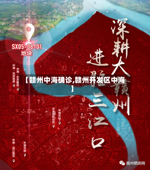 【赣州中海确诊,赣州开发区中海】-第2张图片