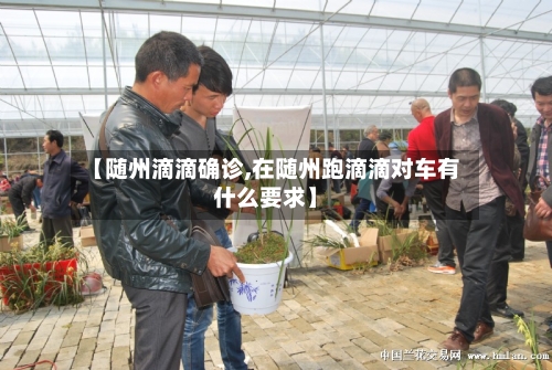 【随州滴滴确诊,在随州跑滴滴对车有什么要求】