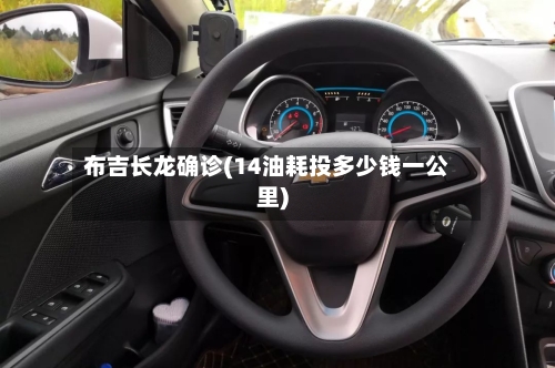 布吉长龙确诊(14油耗投多少钱一公里)-第3张图片