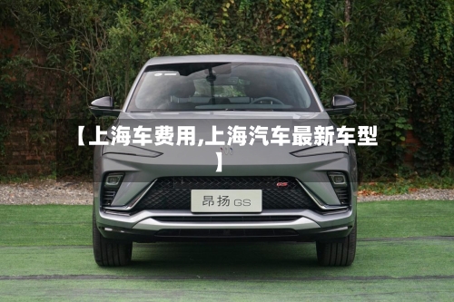 【上海车费用,上海汽车最新车型】