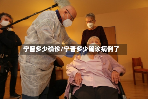 宁晋多少确诊/宁晋多少确诊病例了