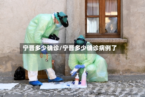 宁晋多少确诊/宁晋多少确诊病例了-第2张图片
