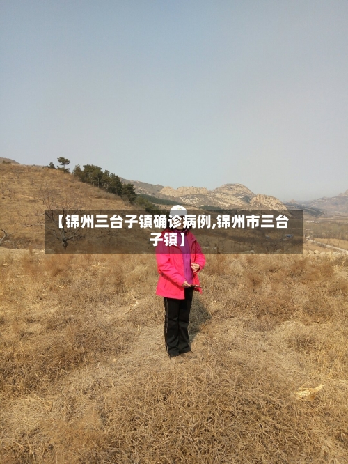 【锦州三台子镇确诊病例,锦州市三台子镇】-第3张图片