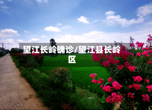 望江长岭确诊/望江县长岭区