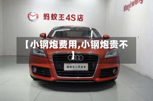 【小钢炮费用,小钢炮贵不】-第2张图片