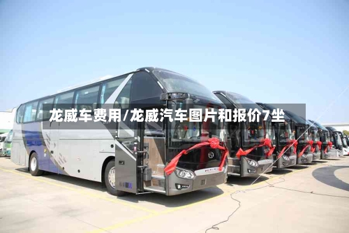 龙威车费用/龙威汽车图片和报价7坐-第2张图片