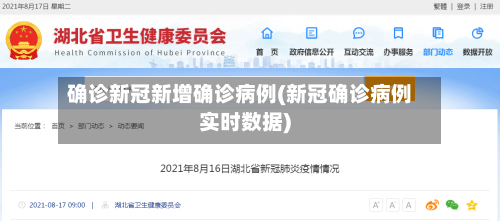 确诊新冠新增确诊病例(新冠确诊病例实时数据)