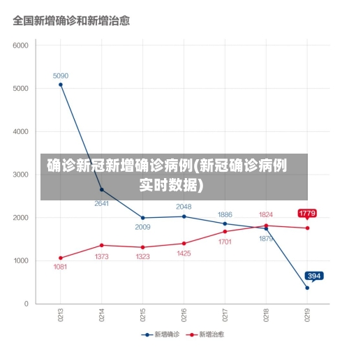 确诊新冠新增确诊病例(新冠确诊病例实时数据)-第2张图片