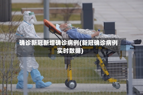 确诊新冠新增确诊病例(新冠确诊病例实时数据)-第3张图片