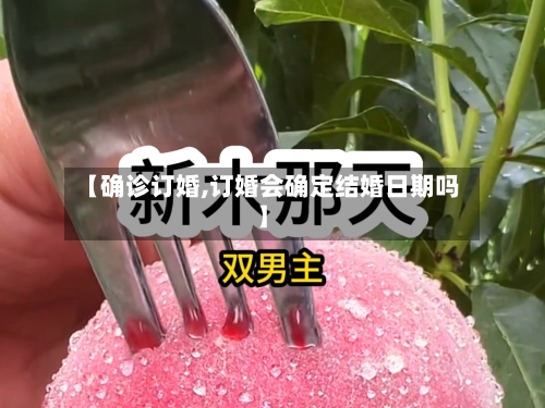 【确诊订婚,订婚会确定结婚日期吗】-第3张图片