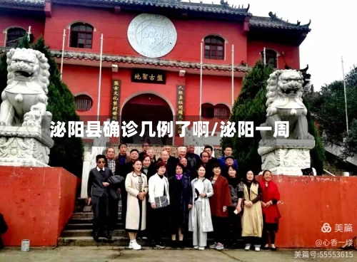 泌阳县确诊几例了啊/泌阳一周