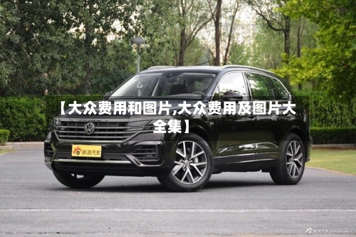 【大众费用和图片,大众费用及图片大全集】-第3张图片