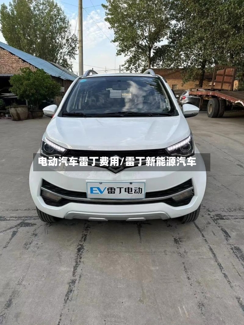电动汽车雷丁费用/雷丁新能源汽车-第2张图片