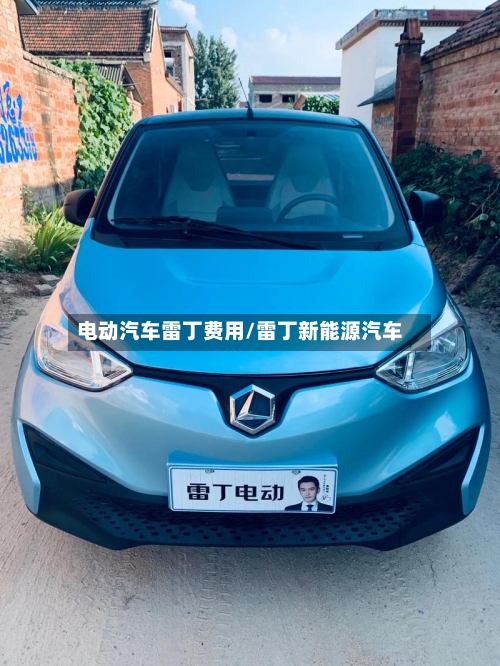 电动汽车雷丁费用/雷丁新能源汽车