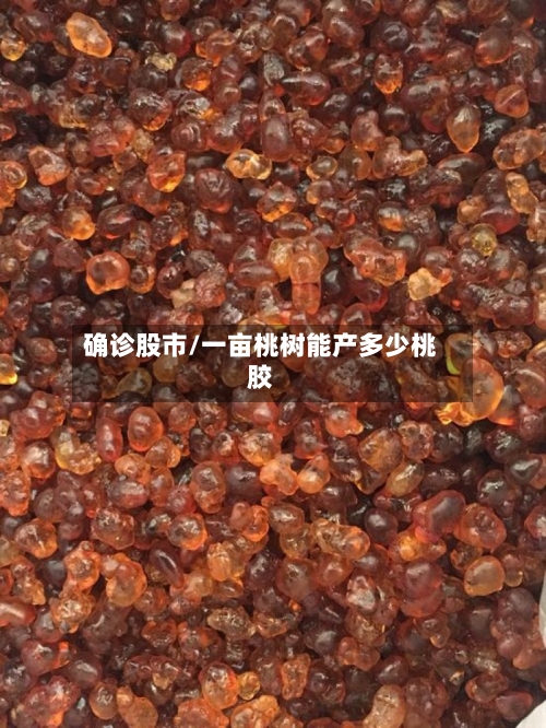 确诊股市/一亩桃树能产多少桃胶