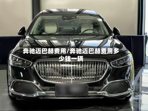 奔驰迈巴赫费用/奔驰迈巴赫费用多少钱一辆-第3张图片