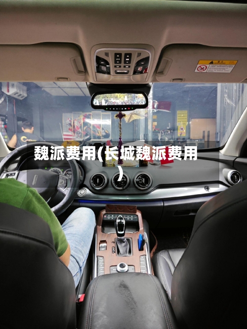 魏派费用(长城魏派费用)-第3张图片
