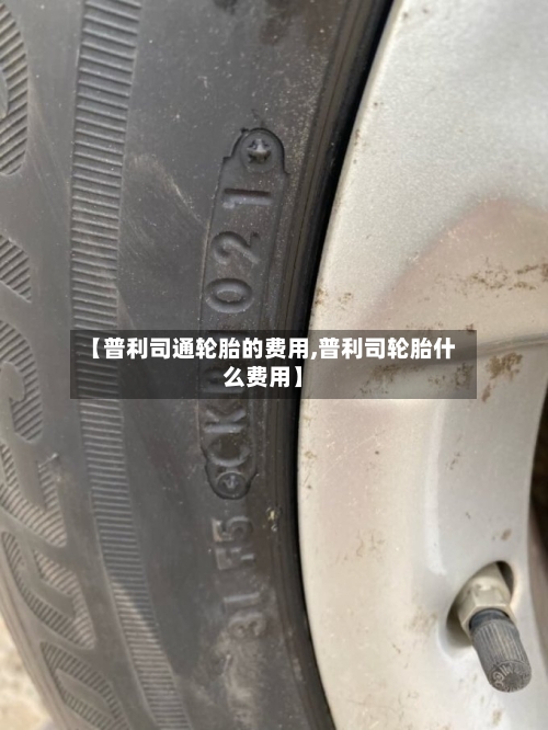 【普利司通轮胎的费用,普利司轮胎什么费用】-第2张图片