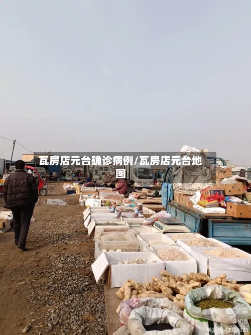 瓦房店元台确诊病例/瓦房店元台地图-第2张图片