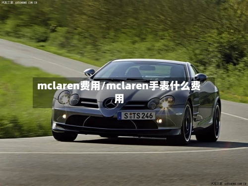 mclaren费用/mclaren手表什么费用