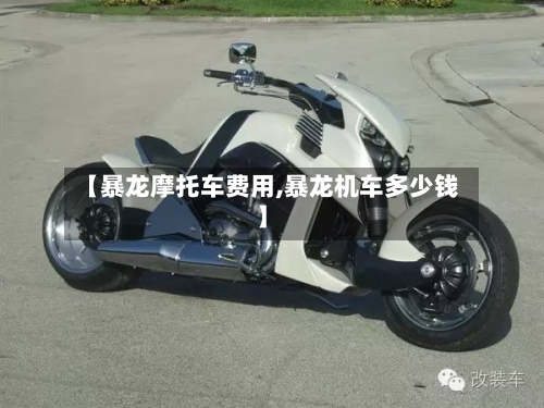 【暴龙摩托车费用,暴龙机车多少钱】-第2张图片