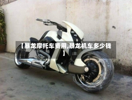 【暴龙摩托车费用,暴龙机车多少钱】