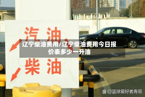 辽宁柴油费用/辽宁柴油费用今日报价表多少一升油-第3张图片