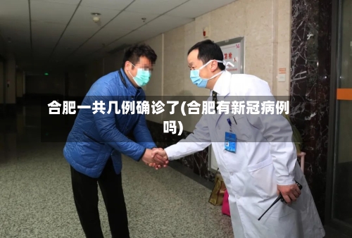 合肥一共几例确诊了(合肥有新冠病例吗)-第2张图片
