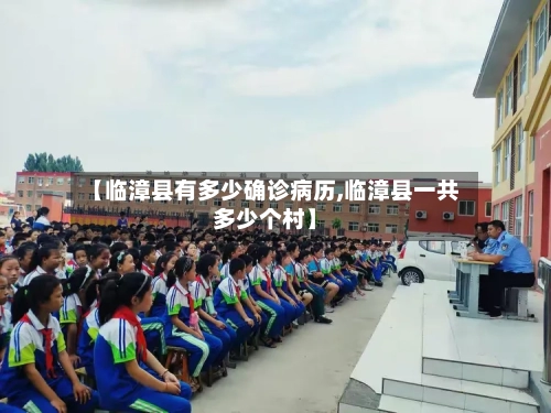 【临漳县有多少确诊病历,临漳县一共多少个村】