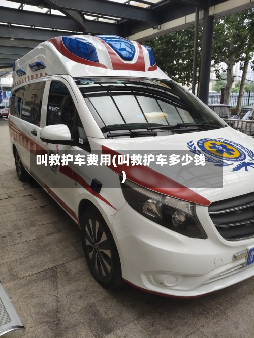 叫救护车费用(叫救护车多少钱)-第3张图片