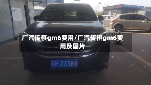 广汽传祺gm6费用/广汽传祺gm6费用及图片