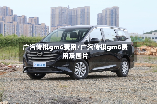 广汽传祺gm6费用/广汽传祺gm6费用及图片-第3张图片