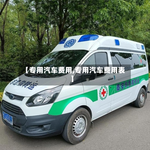 【专用汽车费用,专用汽车费用表】