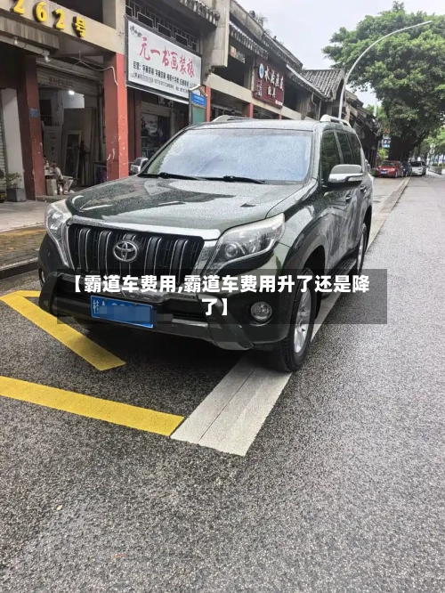 【霸道车费用,霸道车费用升了还是降了】-第3张图片