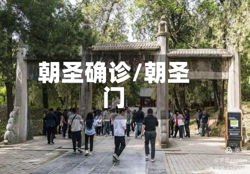 朝圣确诊/朝圣门