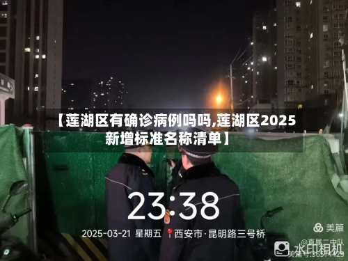 【莲湖区有确诊病例吗吗,莲湖区2025新增标准名称清单】-第1张图片