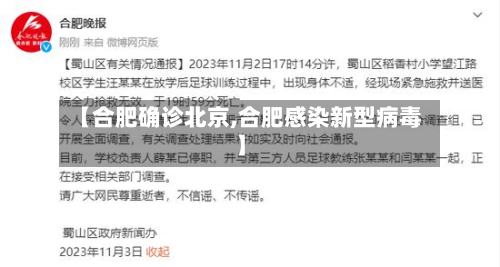 【合肥确诊北京,合肥感染新型病毒】-第1张图片