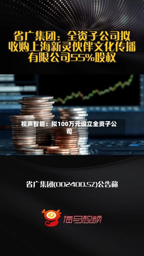 视声智能:拟100万元设立全资子公司-第1张图片