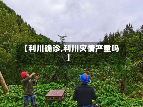 【利川确诊,利川灾情严重吗】-第3张图片