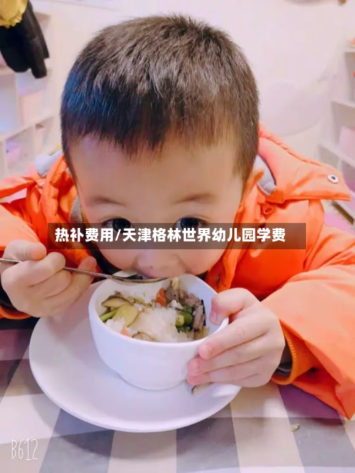 热补费用/天津格林世界幼儿园学费-第2张图片