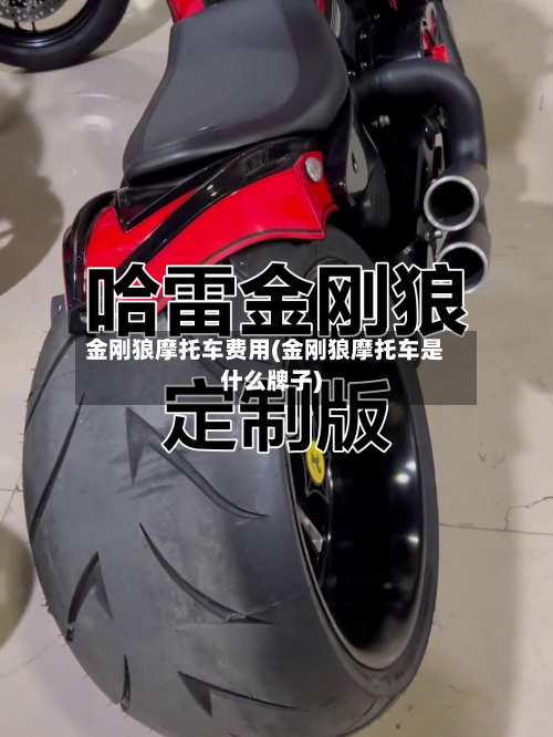 金刚狼摩托车费用(金刚狼摩托车是什么牌子)-第2张图片