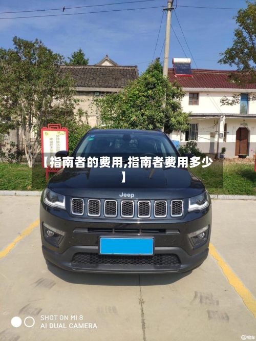 【指南者的费用,指南者费用多少】