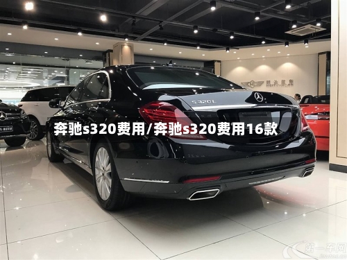奔驰s320费用/奔驰s320费用16款-第2张图片