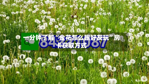 一分钟了解“金花怎么跟好友玩”房卡获取方式