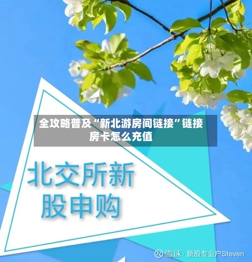 全攻略普及“新北游房间链接”链接房卡怎么充值-第2张图片