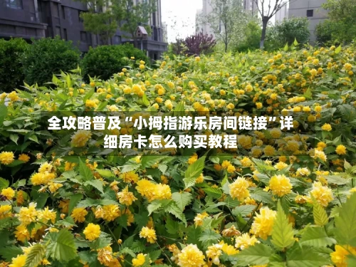 全攻略普及“小拇指游乐房间链接”详细房卡怎么购买教程