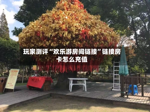 玩家测评“欢乐游房间链接”链接房卡怎么充值-第2张图片