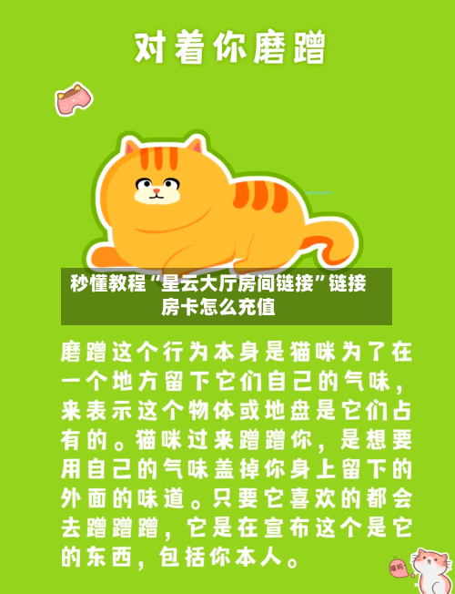 秒懂教程“星云大厅房间链接”链接房卡怎么充值